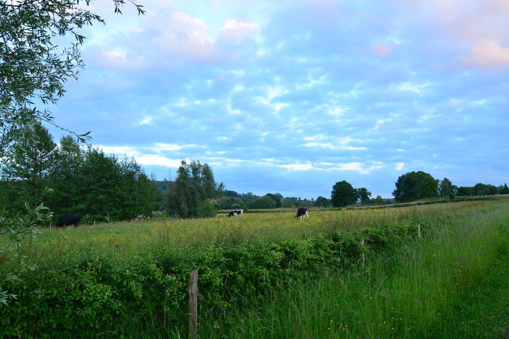 Aparthotel Ons Epen Bagian luar foto